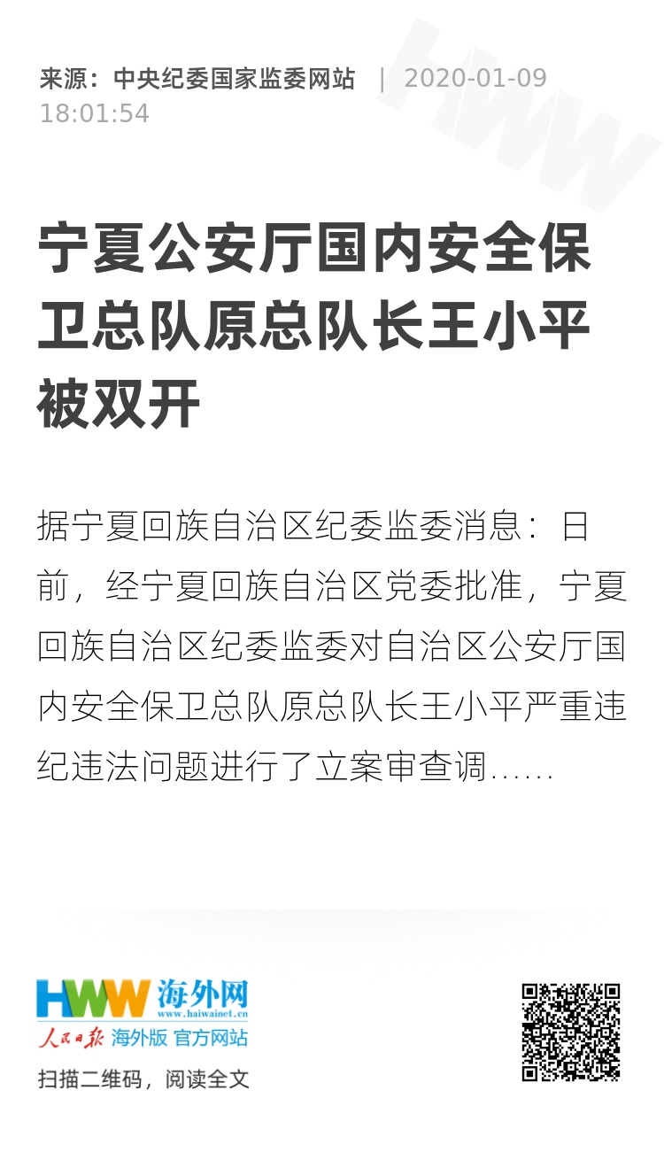 宁夏公安厅国内安全保卫总队原总队长王小平被双开